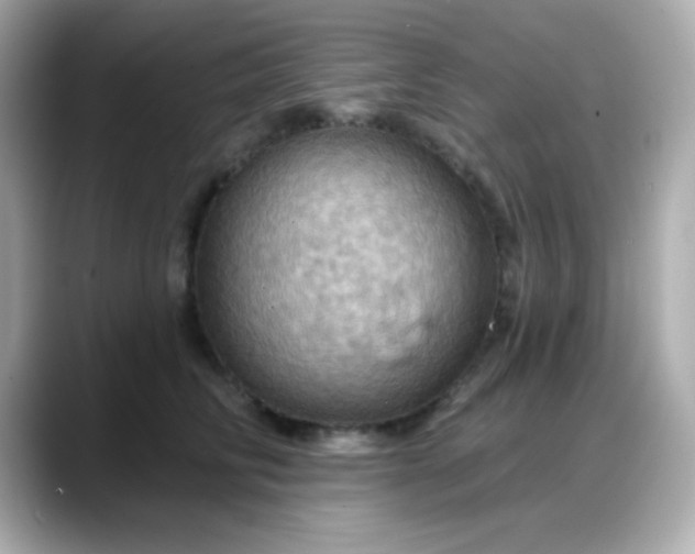 X0000088380710200706051059
