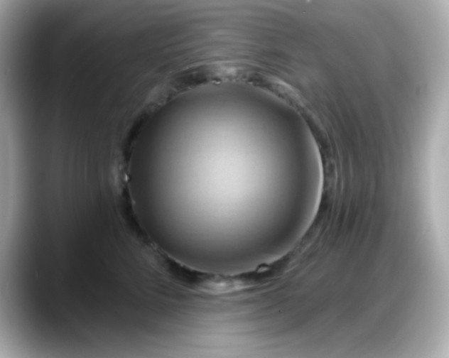 X0000088380712200706051059