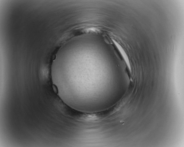 X0000088380715200706051059
