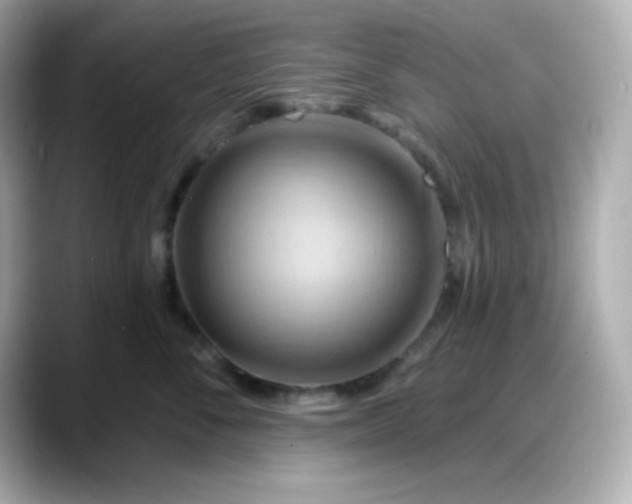X0000088380716200706051059