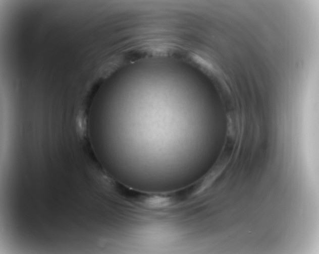 X0000088380718200706051059