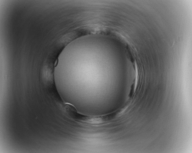 X0000088380719200706051059