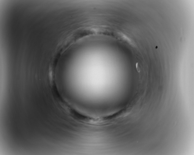X0000088380720200706051059