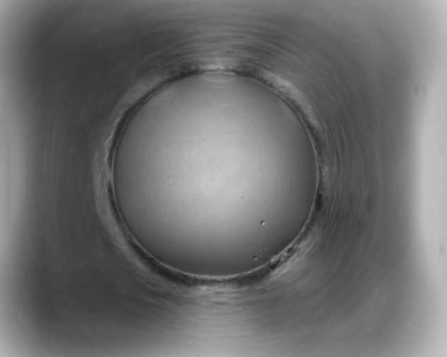 X0000088380721200706051059