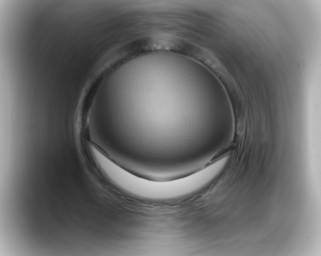 X0000088380722200706051059