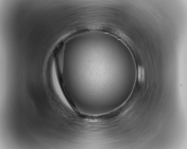 X0000088380723200706051059