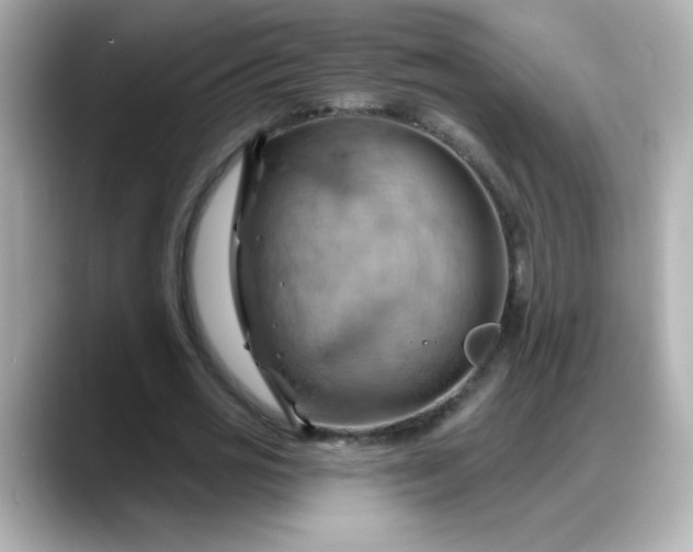X0000088380725200706051059