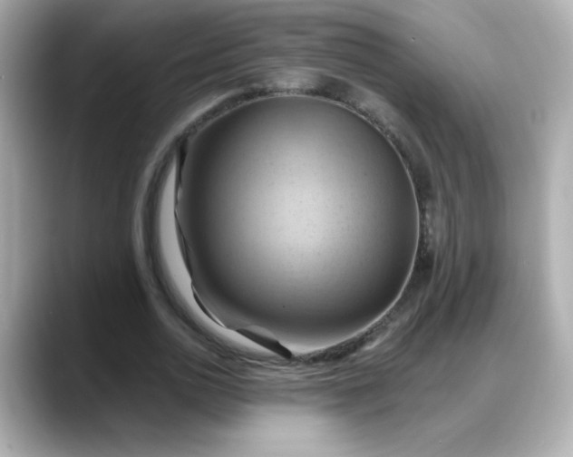 X0000088380726200706051059