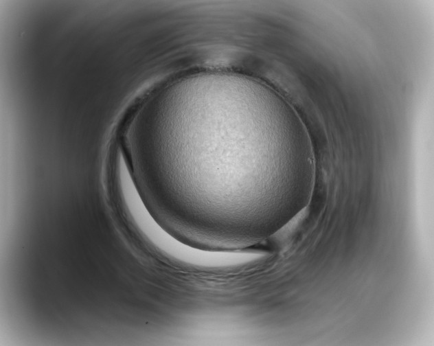 X0000088380728200706051059
