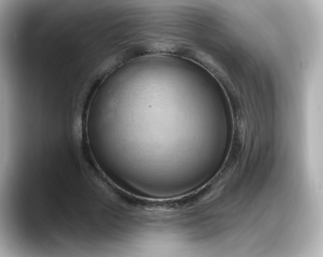 X0000088380729200706051059
