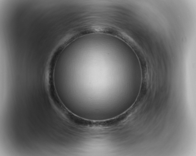 X0000088380730200706051059
