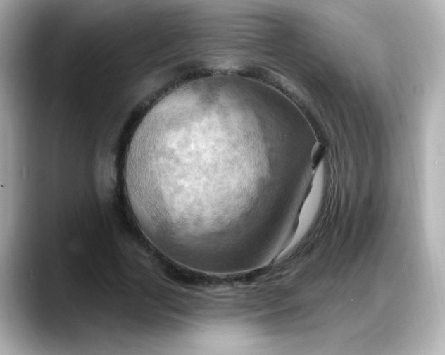 X0000088380731200706051059