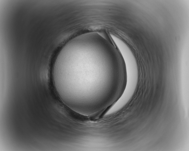 X0000088380732200706051059
