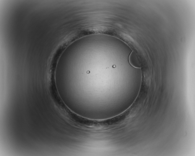 X0000088380735200706051059