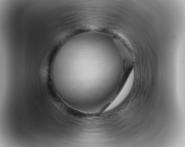 X0000088380736200706051059