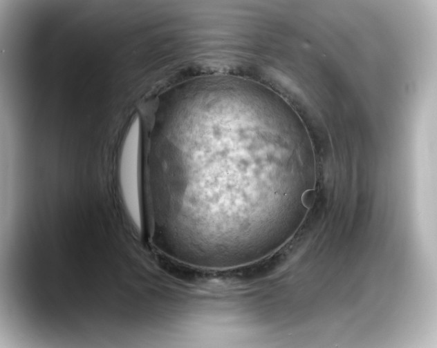 X0000088380737200706051059