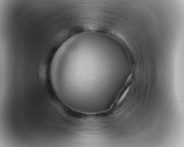 X0000088380738200706051059