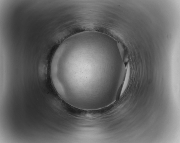 X0000088380739200706051059