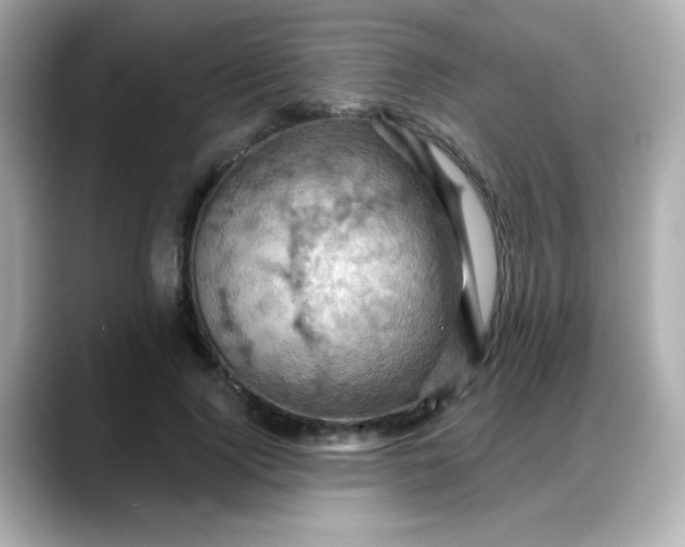 X0000088380740200706051059