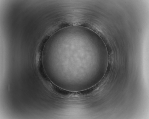 X0000088380742200706051059