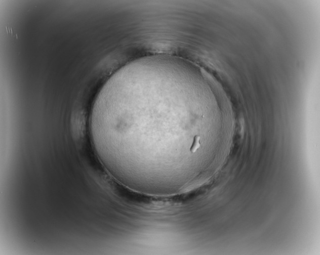 X0000088380744200706051059