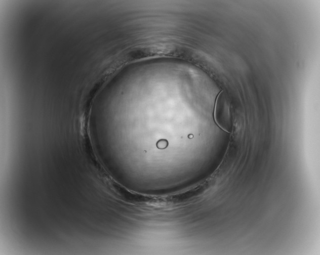 X0000088380745200706051059