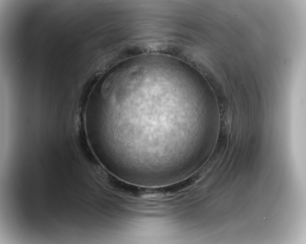 X0000088380746200706051059