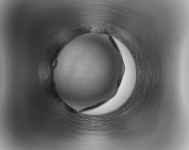 X0000088380748200706051059