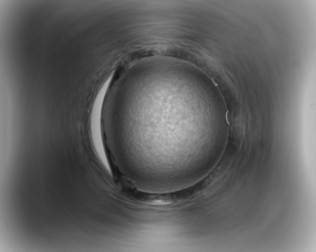 X0000088380750200706051059