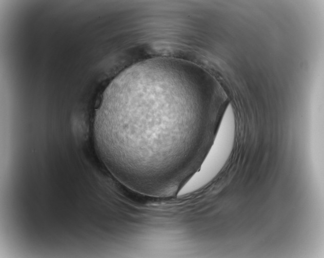 X0000088380751200706051059