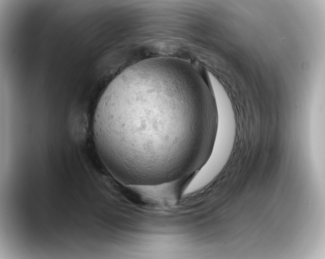 X0000088380752200706051059