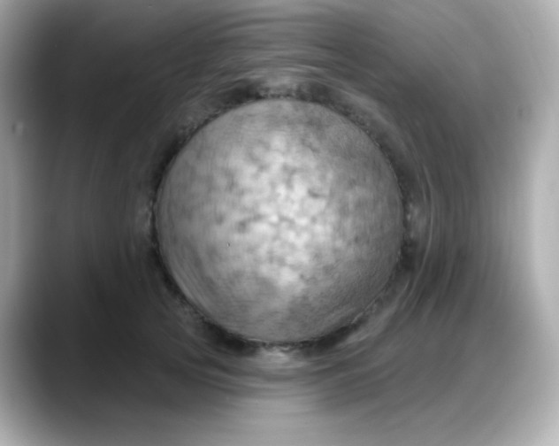 X0000088380753200706051059