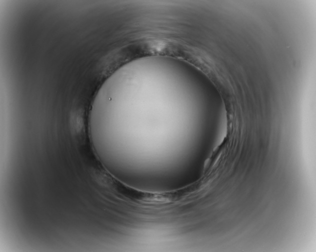 X0000088380754200706051059