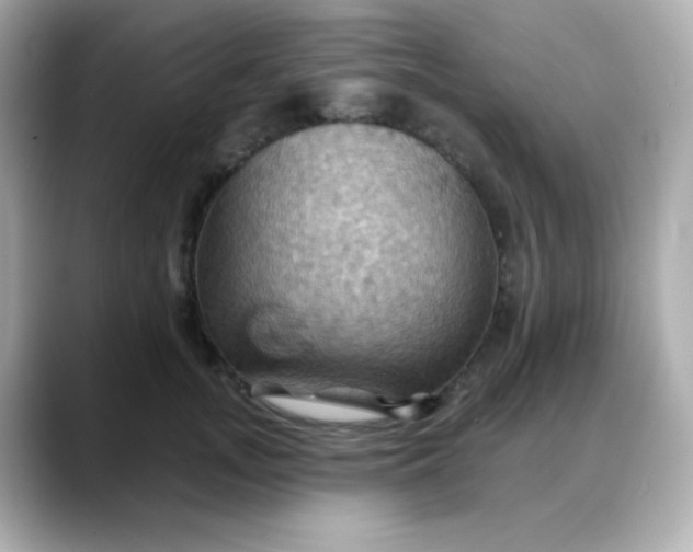X0000088380755200706051059