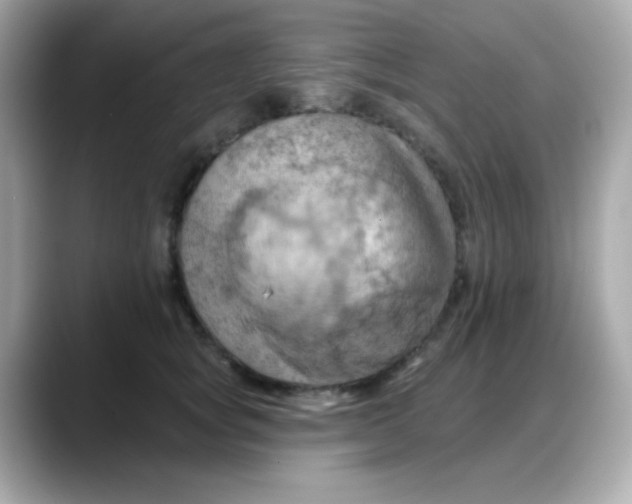 X0000088380757200706051059