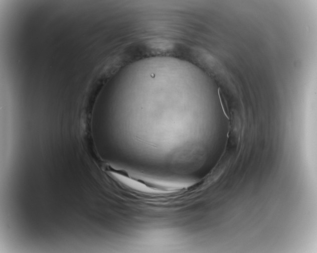 X0000088380758200706051059