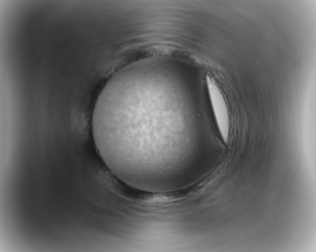 X0000088380759200706051059