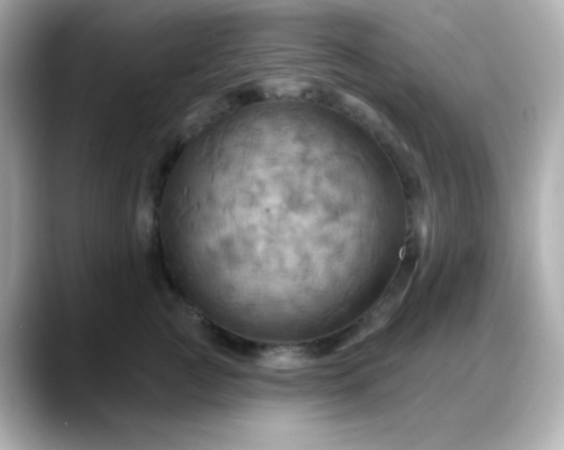X0000088380761200706051059