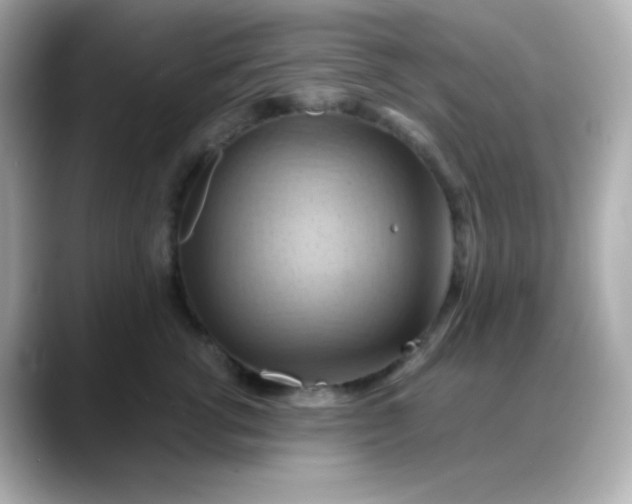 X0000088380762200706051059