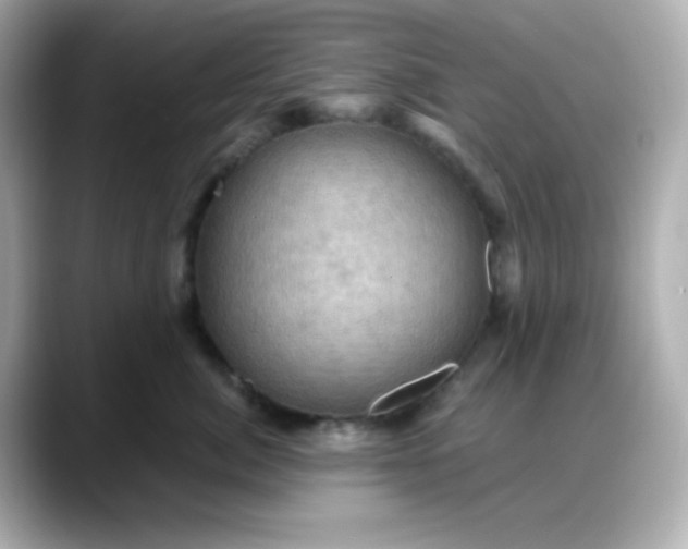 X0000088380764200706051059