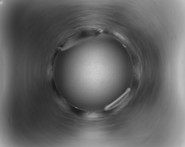 X0000088380766200706051059
