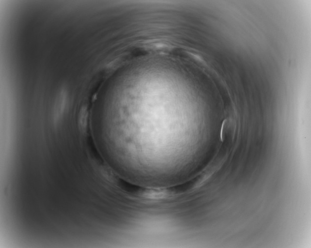 X0000088380767200706051059