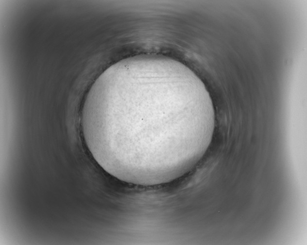 X0000088380769200706051059