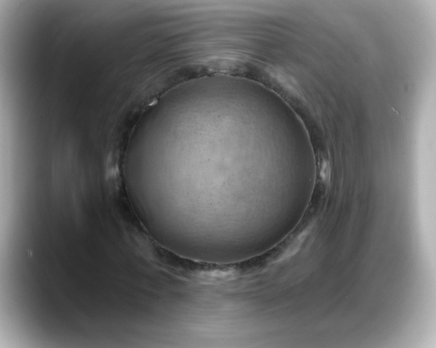 X0000088380771200706051059