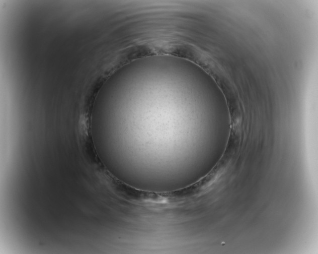 X0000088380772200706051059