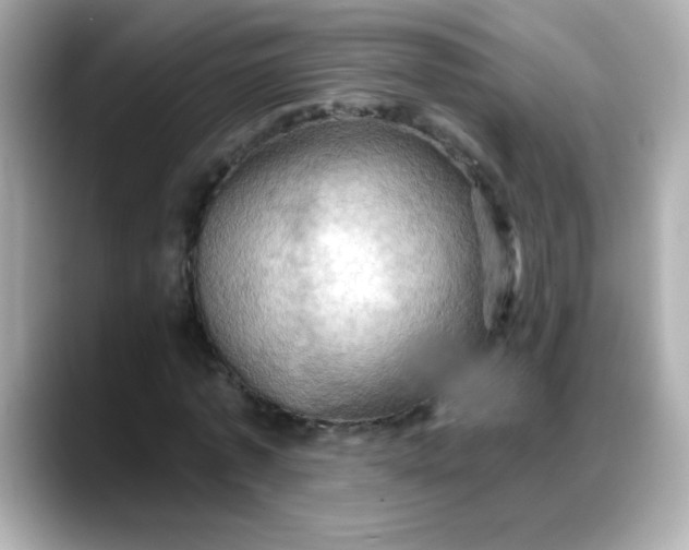 X0000088380773200706051059