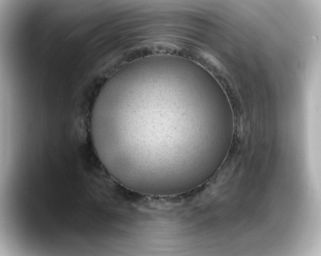 X0000088380774200706051059