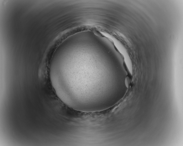 X0000088380776200706051059
