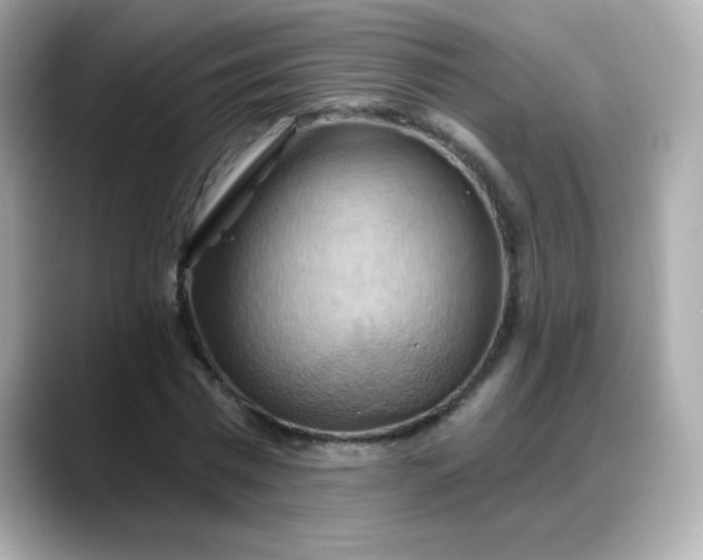 X0000088380777200706051059