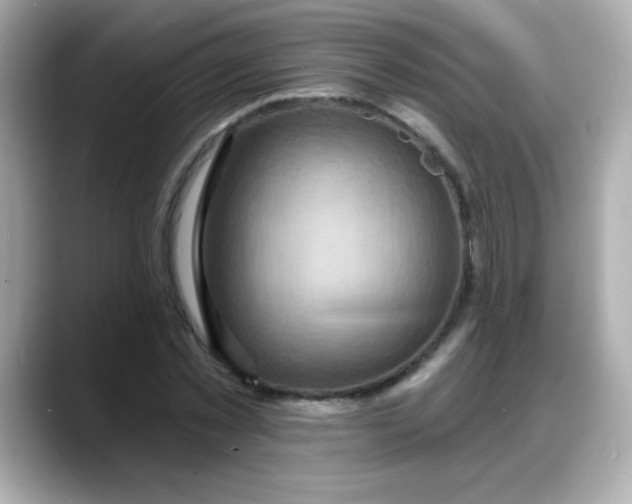 X0000088380781200706051059